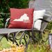 East Urban Home Indoor/Outdoor Throw Pillow Polyester/Polyfill blend in Red | 20 H x 20 W x 3 D in | Wayfair 6215DB96B16449CFB05F2FD7275C4224