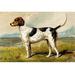 Buyenlarge 'Foxhound' - by Vero Shaw Graphic Art Print in White | 24 H x 36 W x 1.5 D in | Wayfair 0-587-29180-xC2436
