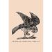 Buyenlarge The Hawk Has a Rabbit's Head. Where is it? - Graphic Art Print in Black/Gray | 30 H x 20 W x 1.5 D in | Wayfair 0-587-22121-6C2030