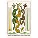 Buyenlarge Moray Eels Zebra Moray Tree Frog & Birds by Albertus Seba - Graphic Art in White | 36 H x 24 W x 1.5 D in | Wayfair 0-587-29761-1C2436