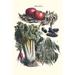 Buyenlarge Vegetables Green Beans Purple Sweet Potato & Tomato by Philippe-Victoire Levêque De Vilmorin - Graphic Art Print in White | Wayfair