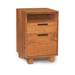 Copeland Furniture Linear Office 2-Drawer Vertical Filing Cabinet Wood in Red/Brown | 26.25 H x 18.5 W x 18 D in | Wayfair 4-LIN-26-03