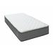 Twin 9" Innerspring Mattress - Bedz King Plush Pocketed Coil | 74 H x 38.5 W 9 D in Wayfair Bedz-King-Mattress-Twin