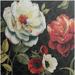 Ophelia & Co. Musso Floral Story IV on Black' by Lisa Audit Painting Print | 12 H x 12 W x 1.5 D in | Wayfair CF4EF591248943E8AF5132EFE92F2A68