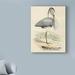 Highland Dunes 'Antique Heron IV' Print on Wrapped Canvas Canvas | 19 H x 14 W x 2 D in | Wayfair 83370C98BEE240A095B89AB7B4DE686F