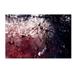 Trademark Fine Art 'Galaxy Far Away' Photographic Print on Canvas on Wrapped Canvas in Red Canvas | 12 H x 19 W x 2 D in | Wayfair BC0261-C1219GG