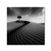 Trademark Fine Art 'Faith' Photographic Print on Wrapped Canvas in Black/White | 14 H x 14 W x 2 D in | Wayfair 1X01210-C1414GG