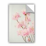 Winston Porter Judy Stalus Azalea Removable Wall Decal Vinyl | 12" H x 8" W x 0.1" D | Wayfair 5B15380C4FF54E9F8BDD89BCB72B9851