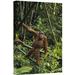 East Urban Home Sumatra 'Orangutan Standing on Fallen Tree Trunk' - Photograph Print on Canvas in Brown/Green | 18 H x 12 W x 1.5 D in | Wayfair