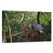 East Urban Home North America 'Great Gray Owl Pair Nesting' - Photograph Print on Canvas in Brown/Green | 12 H x 18 W x 1.5 D in | Wayfair