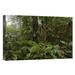 East Urban Home Ecuador Western Slope of Andes Mountains 'Primary Rainforest' - Photograph Print on Canvas in Brown/Green | Wayfair