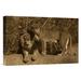 East Urban Home Native to Africa 'African Lion Male & African Lioness' Photographic Print on Wrapped Canvas in Brown | Wayfair NNAI5280 39916125