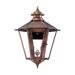 Primo Lanterns Notoway Outdoor Lantern | 17 H x 16 W x 16 D in | Wayfair NW-22E