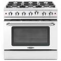 Capital Culinarian Series 36" 4.9 cu. ft. Freestanding Gas Range, Stainless Steel in Gray | 36 H x 35.88 W x 28.5 D in | Wayfair MCR366LP