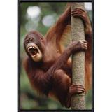 East Urban Home 'Orangutan Hanging on Tree' Framed Photographic Print on Canvas in Brown/Green | 18 H x 12 W x 1.5 D in | Wayfair URBH5235 38225346