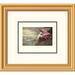 Global Gallery Roseate Spoonbill by John James Audubon Framed Painting Print Paper | 28.9 H x 20 W x 1.5 D in | Wayfair DPF-132752-0810-102