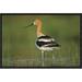 East Urban Home 'American Avocet' Framed Photographic Print on Canvas in Green | 12 H x 18 W x 1.5 D in | Wayfair URBH3959 38220256