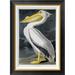 Global Gallery American White Pelican by James Audubon - Picture Frame Graphic Art Print on Canvas Canvas, in Black | Wayfair GCF-264573-22-190