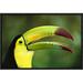 East Urban Home 'Keel-Billed Toucan Portrait' Framed Photographic Print on Canvas in Green | 12 H x 18 W x 1.5 D in | Wayfair URBH4112 38220859