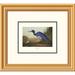 Global Gallery Blue Crane or Heron by John James Audubon Framed Painting Print Paper | 18 H x 20 W x 1.5 D in | Wayfair DPF-132744-0810-102