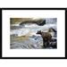 Global Gallery Grizzly Bear Fishing along Anan Creek, Tongass National Forest, Alaska by Matthias Breiter Framed Photographic Print Paper | Wayfair