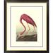 Global Gallery American Flamingo by John James Audubon Framed Painting Print Paper | 20 H x 18 W x 1.5 D in | Wayfair DPF-132758-0810-102