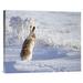 Global Gallery 'White-Tailed Jackrabbit' by Shlomo Waldmann Photographic Print on Wrapped Canvas in Indigo/White | 16 H x 20 W x 1.5 D in | Wayfair