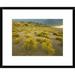 Global Gallery 'Sangre De Cristo Mountains at Great Sand Dunes National Monument, Colorado' Framed Photographic Print Paper in Blue/Yellow | Wayfair