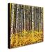 Union Rustic Fall Aspens by Roderick Stevens - Wrapped Canvas Print Canvas in Green | 14 H x 14 W x 2 D in | Wayfair RS997-C1414GG