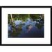 Global Gallery 'American Alligator on Surface, Okefenokee National Wildlife Refuge, Florida' Framed Photographic Print Paper in Blue/Green | Wayfair