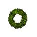 Ophelia & Co. Boxwood Mini Wreath in Green | 6 H x 1 D in | Wayfair C33F1761479046EFA3DA13195B1F8837