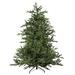 Northlight Seasonal Pre-Lit Full Oregon Noble Fir Artificial Christmas Tree - Warm LED Lights in White | 90 H x 69 W in | Wayfair 32915344