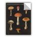 August Grove® Mushroom Chart III Removable Wall Decal Vinyl in Black/Brown/Orange | 8 H x 10 W in | Wayfair 112522C80F1C4F27AD0A8963D337AF5C