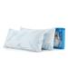 The Twillery Co.® Katherine Rayon from Bamboo Shredded Memory Foam Plush Support Pillow 2 Pack Rayon from Bamboo/Shredded Memory Foam | Wayfair