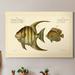 Rosecliff Heights 'Bloch Antique Fish VI' - Painting Print on Canvas Canvas, Solid Wood in Black/Green/White | 12 H x 8 W x 1 D in | Wayfair