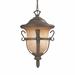 Kalco Tudor 3-Light Outdoor Hanging Lantern Glass/Aluminium/Metal in Black | 18.5 H x 12 W x 12 D in | Wayfair 9396MB