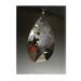 The Holiday Aisle® Crystal Diamond Hanging Figurine Ornament Crystal | 2.75 H x 2 W x 2 D in | Wayfair D2924FD8AB4942188448E4B3C255B190