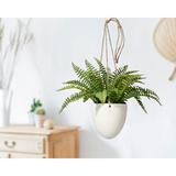 Gracie Oaks Artificial Fern Plant in Planter Silk/Fiberstone | 18 H x 4.75 W x 4.75 D in | Wayfair 34A5A12EBC694E9CAC0AFE8D8823CAD0