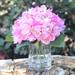 House of Hampton® Hydrangea Arrangement in Vase Silk, Glass in Pink | 10 H x 6 W x 6 D in | Wayfair 1DBADF89D43B4CBEB6369466FA818032