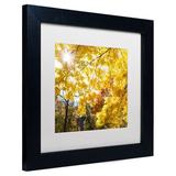 Millwood Pines 'Sunny Happy Autumn Day' Framed Photographic Print on Canvas in Green | 11 H x 11 W x 0.5 D in | Wayfair KS01049-B1111MF