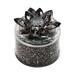 Rosdorf Park Round Metal Lotus Jewelry Box Storage - Contemporary Glam Trinket Storage Fabric in Black | 4 H x 4 W x 4 D in | Wayfair