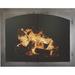 Ebern Designs Acee Cabinet Style Steel Fireplace Door Plastic in Gray | 34 H x 43 W x 3 D in | Wayfair 2E06518BF39A4C278EBAE6052BE61FEE