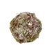The Holiday Aisle® Glittered Moss Ball Ornament Wood in Brown | 6 H x 6 W x 6 D in | Wayfair 3D540A82EEBB457CA8EA3F36AE97BDB5