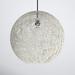 AllModern Aline 1 - Light Single Globe Pendant, Rattan in Black | 13.5 H x 15 W x 15 D in | Wayfair A2E13411271A40B682AF02AF9B9F3838