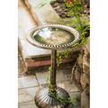 Fleur De Lis Living Ahrens Lightweight Plastic Flower Design Birdbath Plastic | 33.86 H x 19.69 W x 19.69 D in | Wayfair