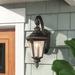 Fleur De Lis Living Siclen 1 - Bulb Outdoor Wall Lantern Glass/Metal in Black | 19 H x 8 W x 13.5 D in | Wayfair DECEBFE38C9F4F6A91455D1EE5F68760