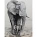 Winston Porter Elephant Love by Ed Capeau - Graphic Art Print Paper, Glass in White | 19 H x 13 W x 0.1 D in | Wayfair