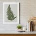 Bay Isle Home™ Fern Studies I - Wrapped Canvas Graphic Art Print Canvas, Solid Wood in Gray/Green | 27 H x 18 W x 1 D in | Wayfair