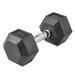 Lifeline Hex Rubber Dumbbell