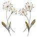 Dandelion Wishes Wall Art Multi Metallic Set of Two, Set of Two, Multi Metallic